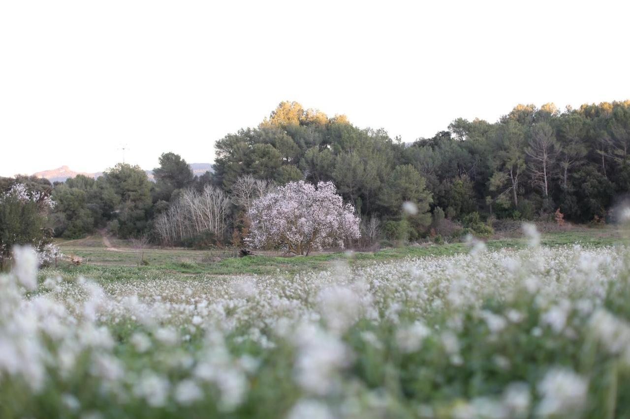 Masia Can Rovira - Esc1852 San Lorenzo de Hortóns 外观 照片